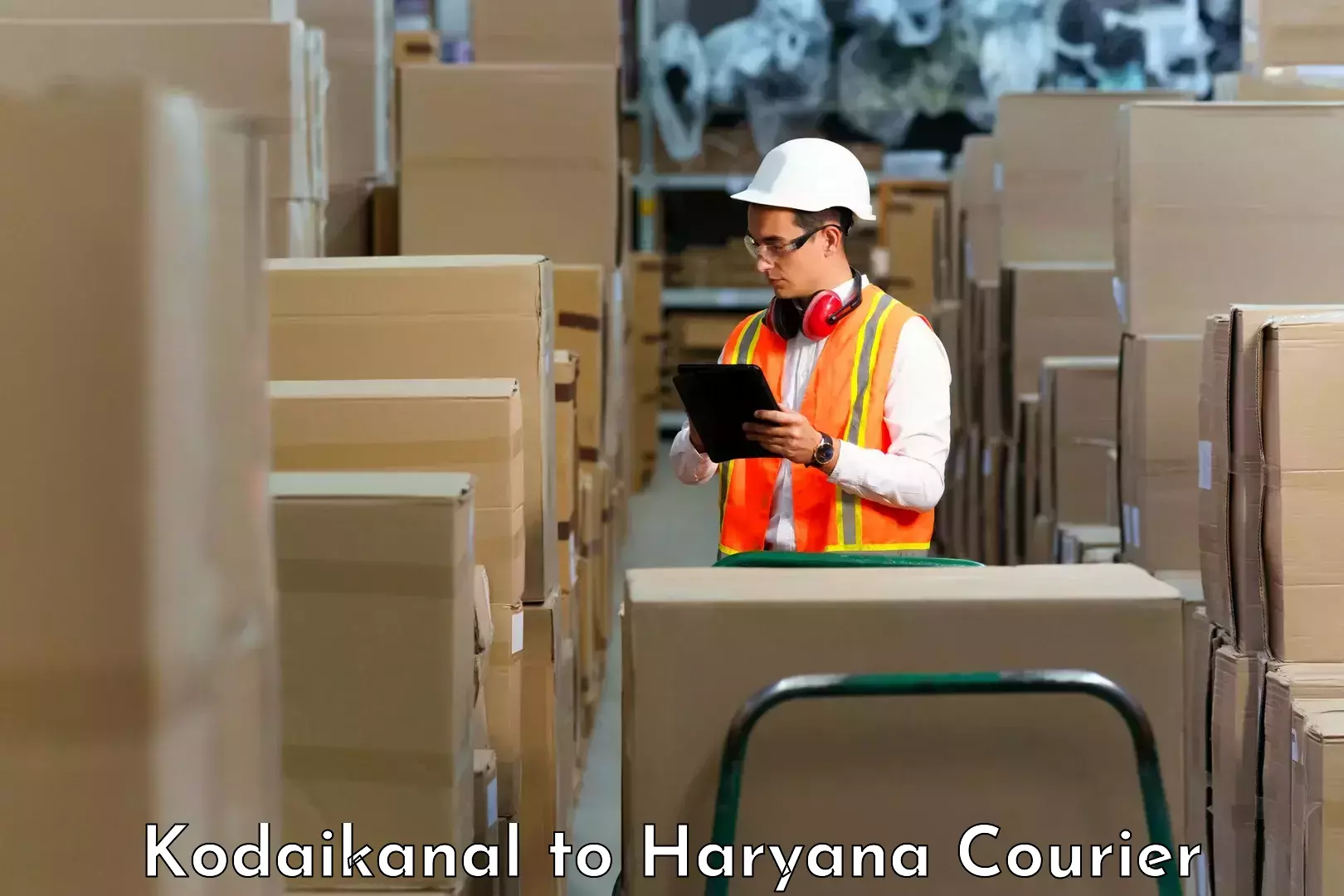Express courier facilities Kodaikanal to Bilaspur Haryana
