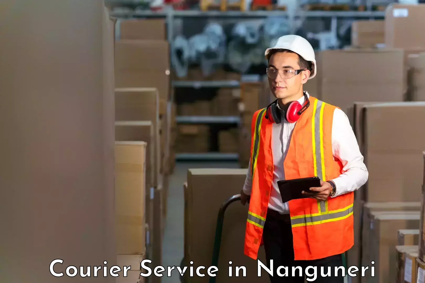 Long distance courier in Nanguneri