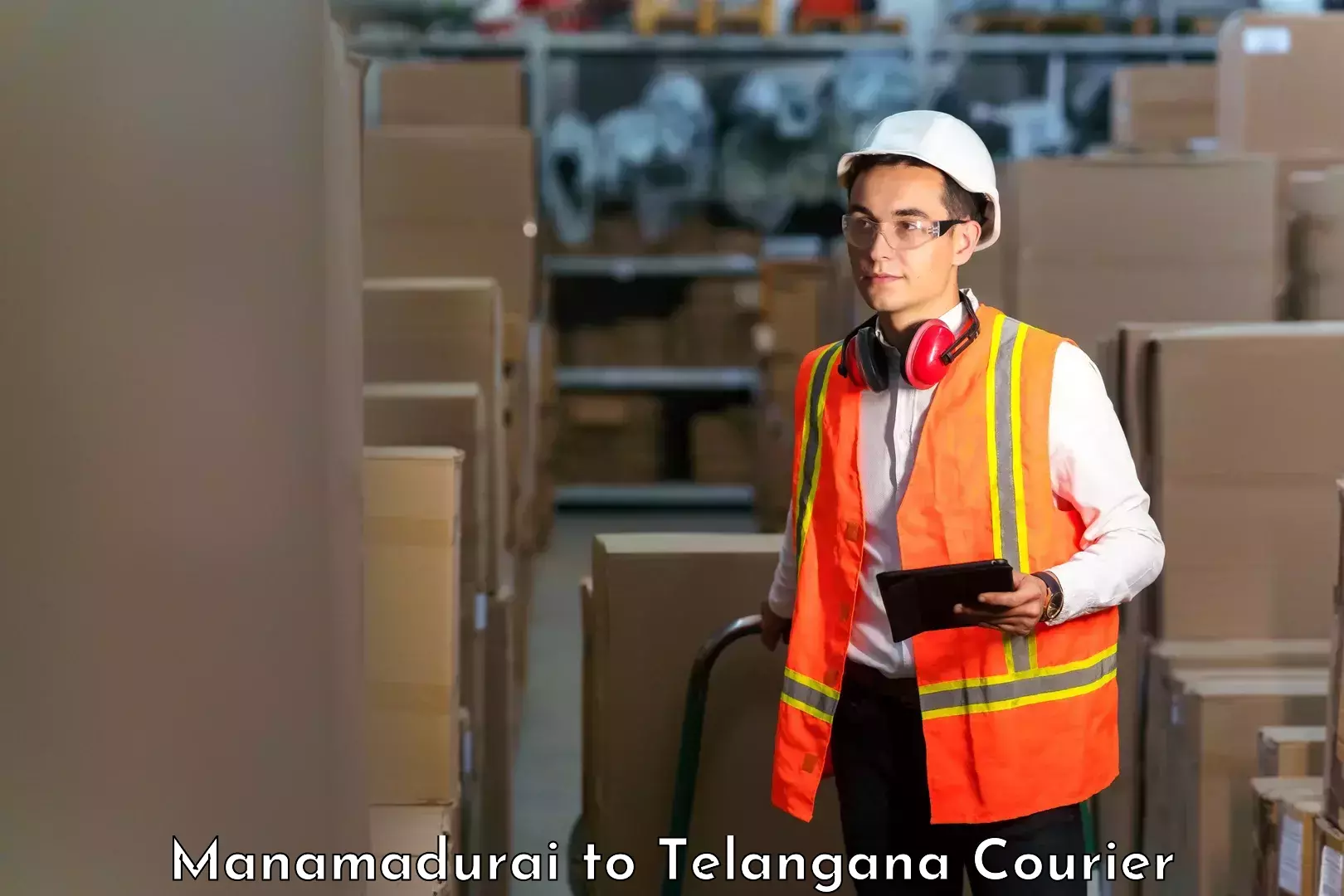 Customized shipping options Manamadurai to Hanamkonda