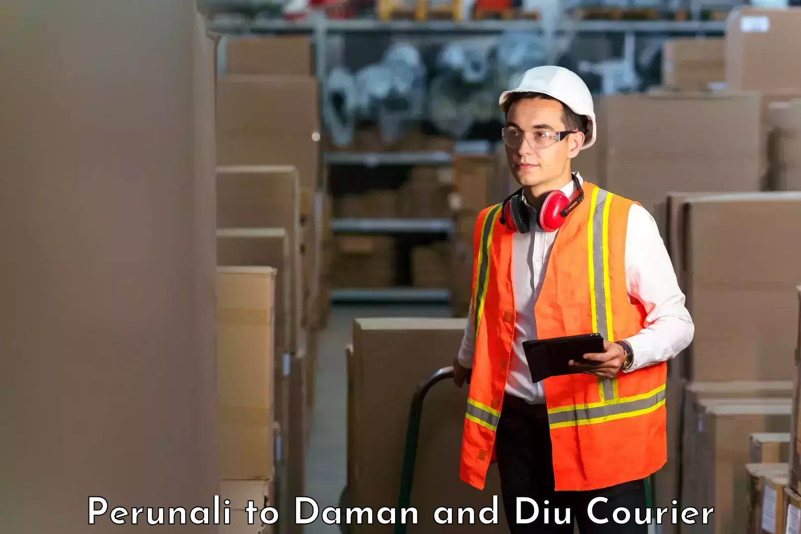 Courier service comparison Perunali to Daman and Diu