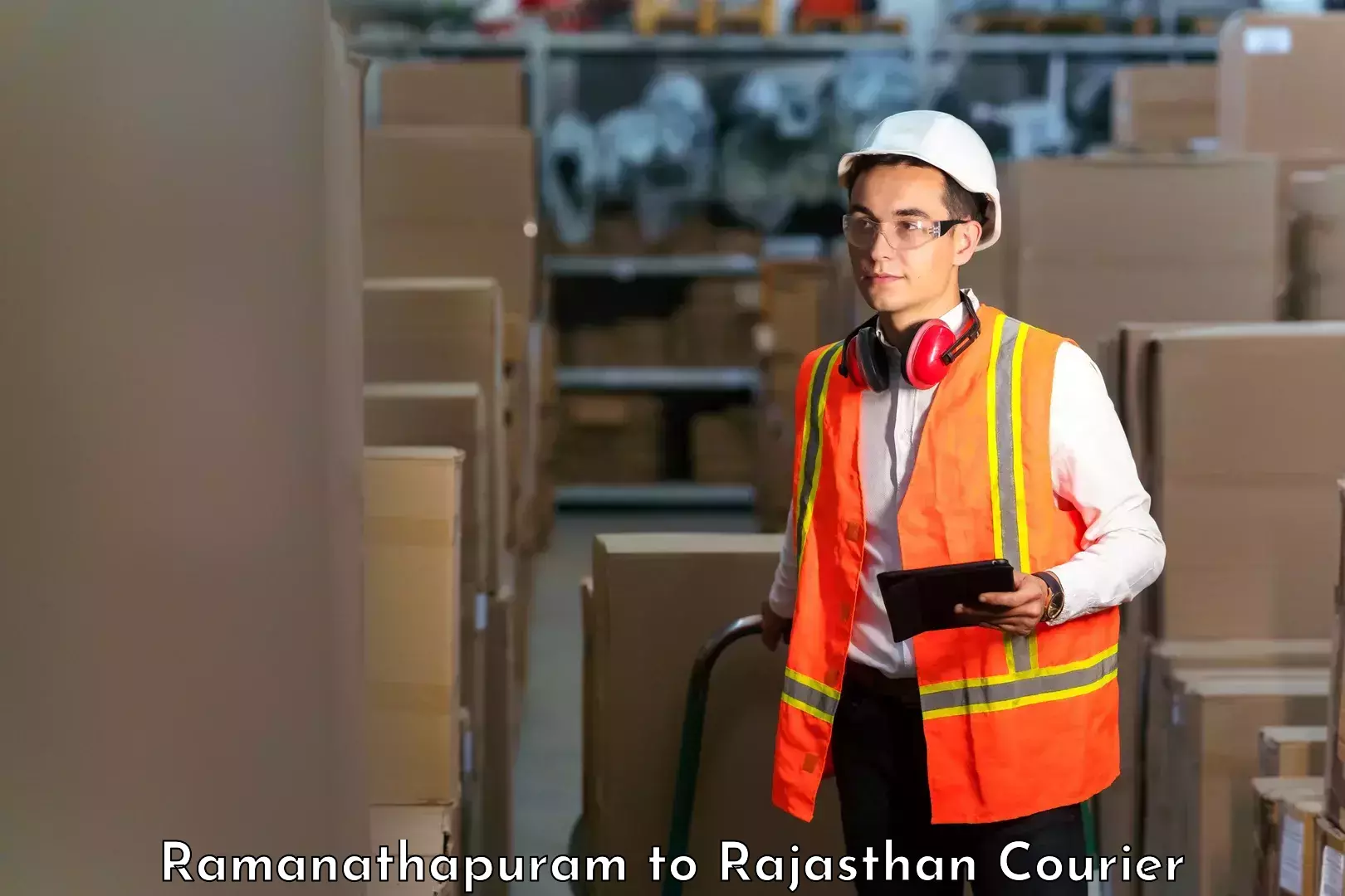 Custom courier solutions Ramanathapuram to Bagru