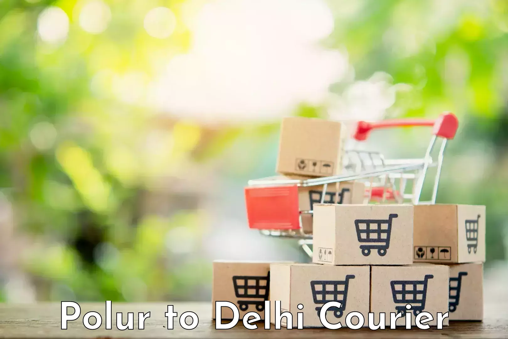Cost-effective courier options Polur to Ramesh Nagar