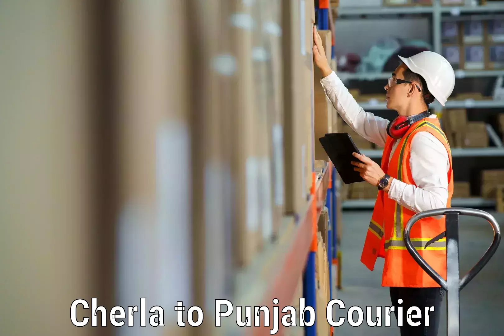 Professional packing services Cherla to Thapar Institute of Engineering and Technology Patiala