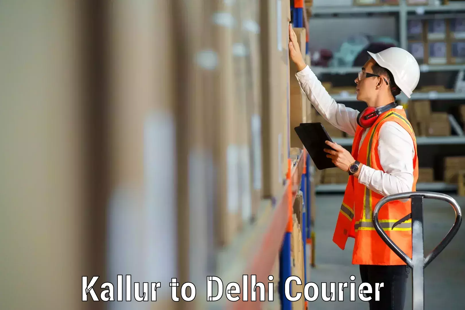 Long-distance household transport Kallur to University of Delhi