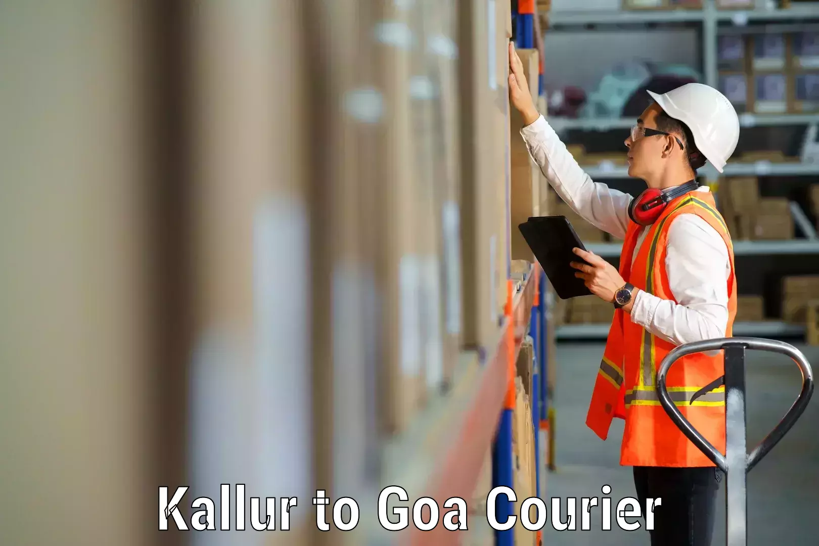 Customized moving experience Kallur to Goa University