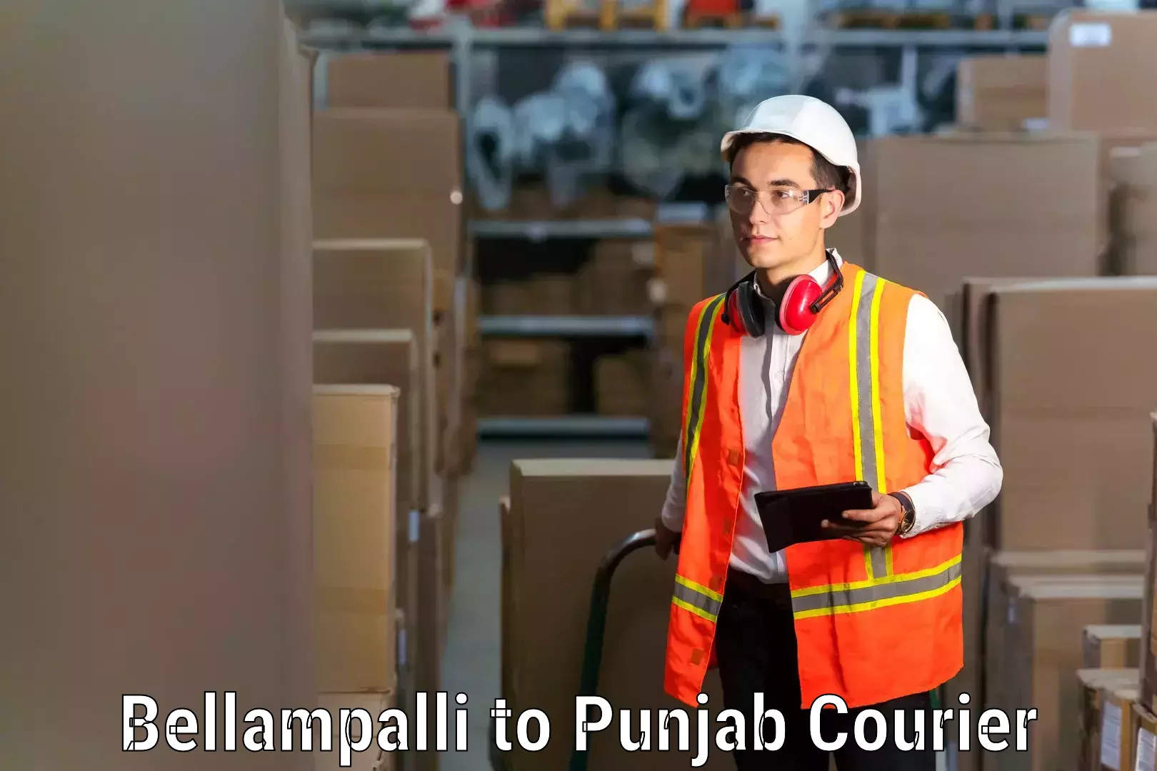 Custom moving and storage Bellampalli to Punjab