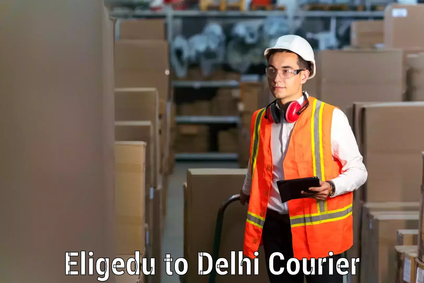 Household goods transport service Eligedu to Delhi