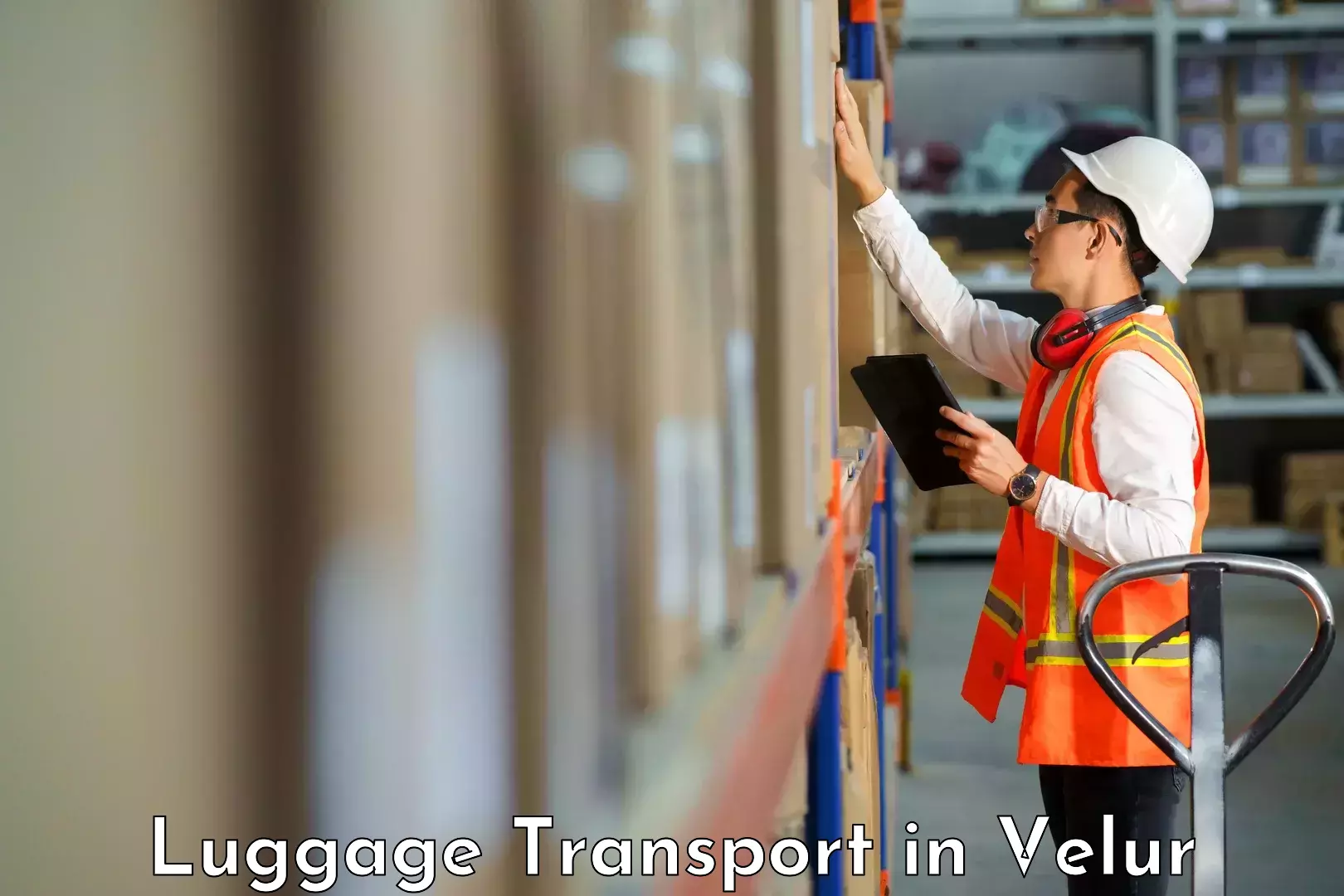 Luggage shipping management in Velur