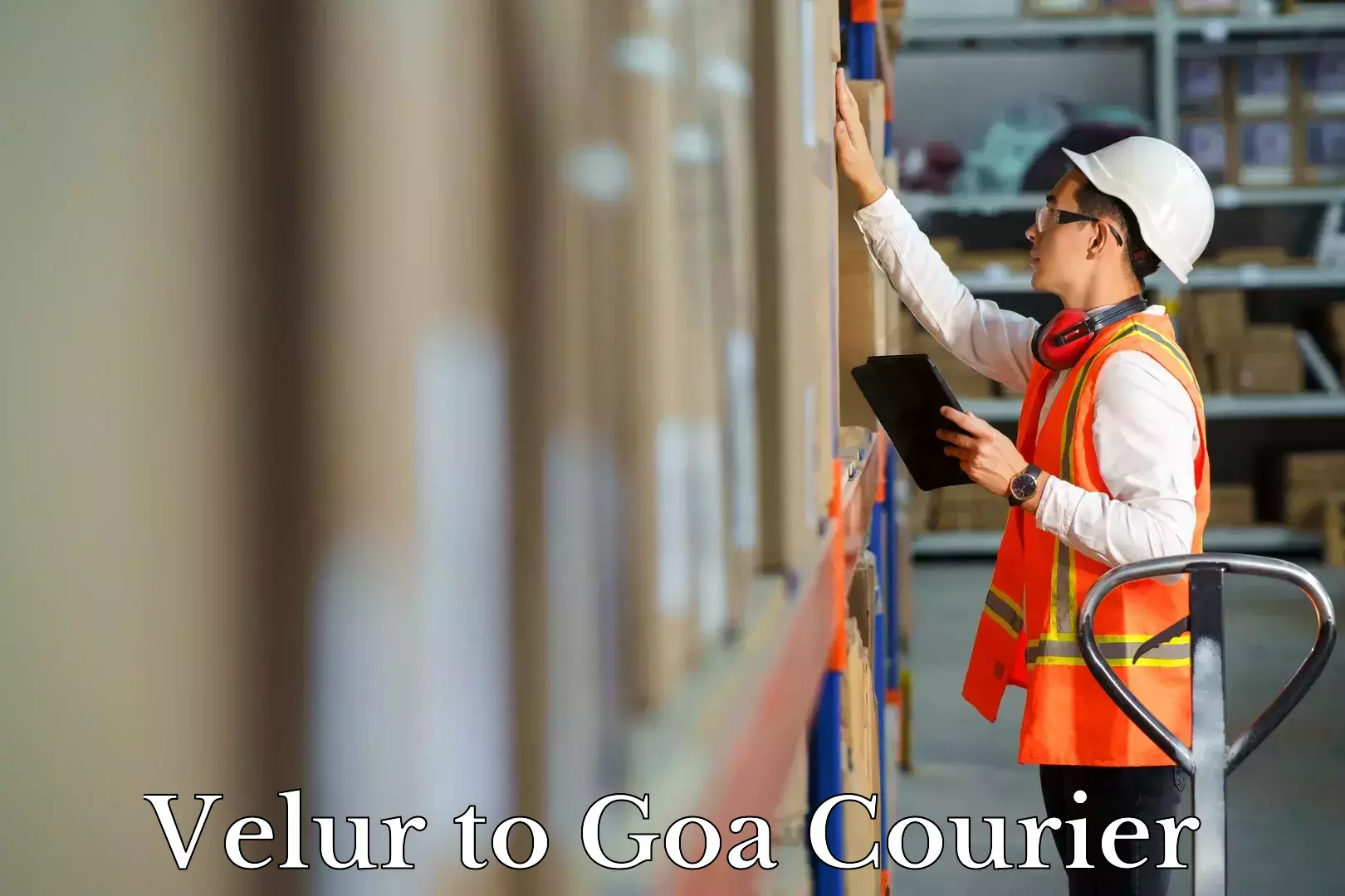 Flexible luggage courier service in Velur to Goa