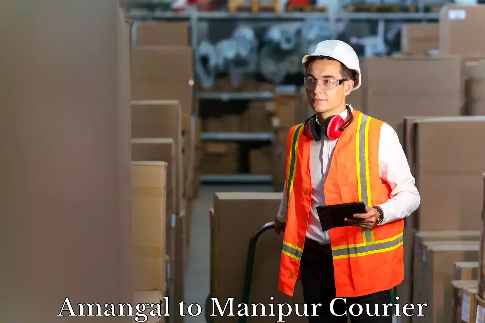 Digital baggage courier Amangal to NIT Manipur