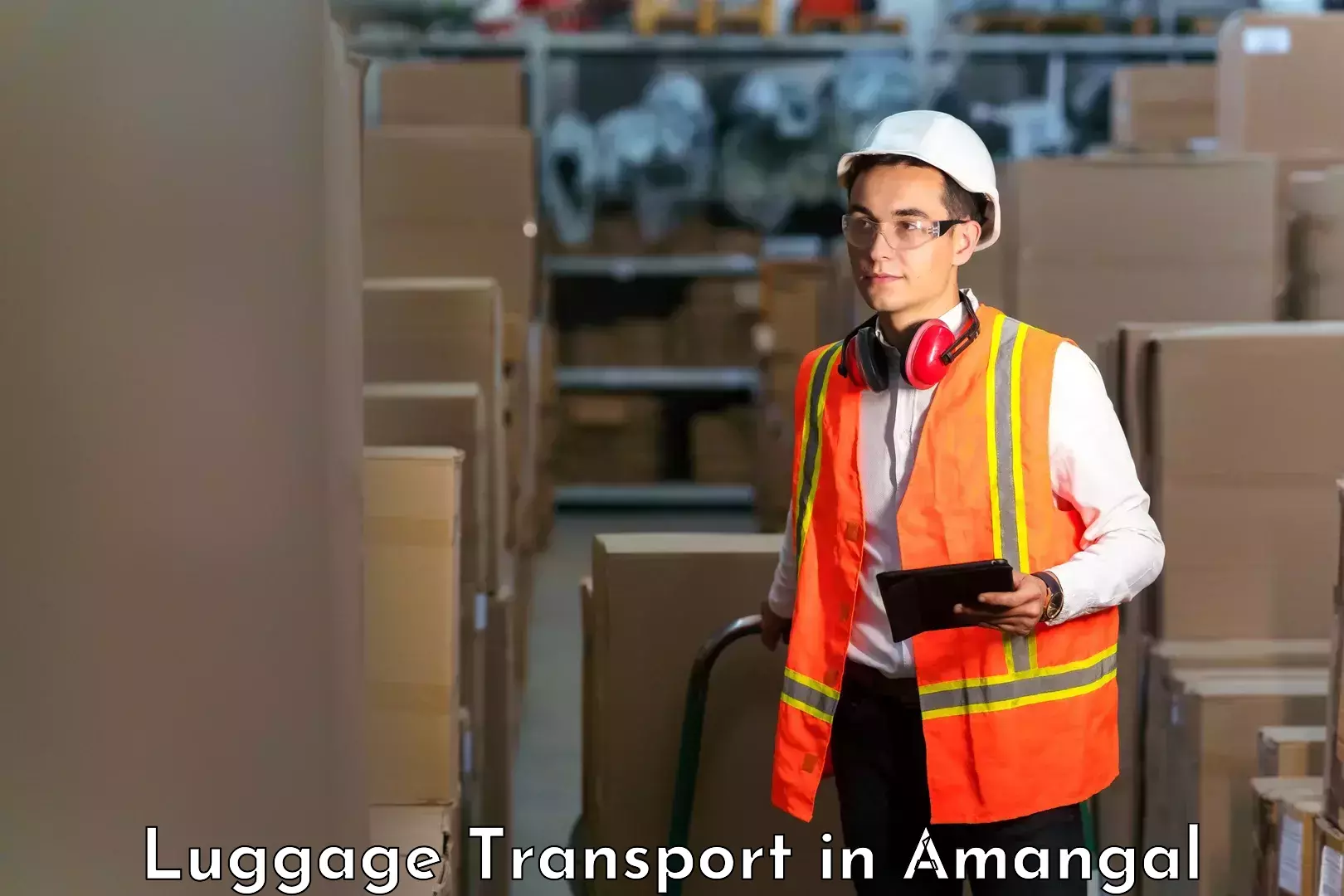 Luggage shipment logistics in Amangal