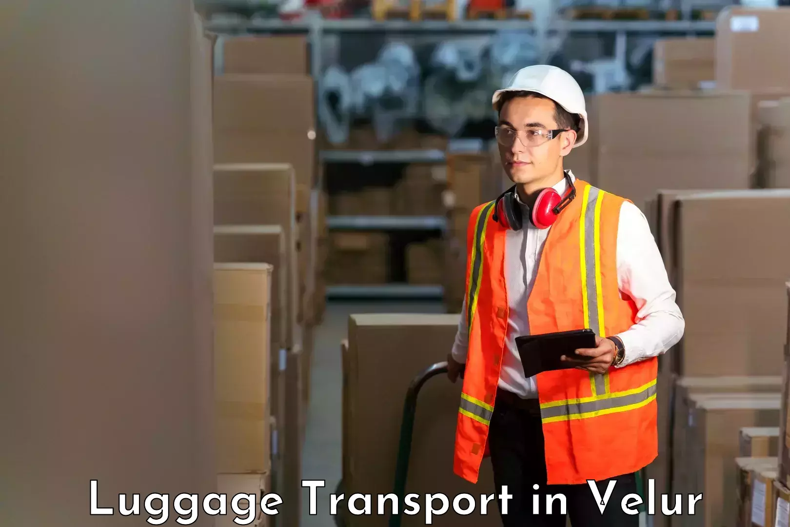 Festival baggage courier in Velur