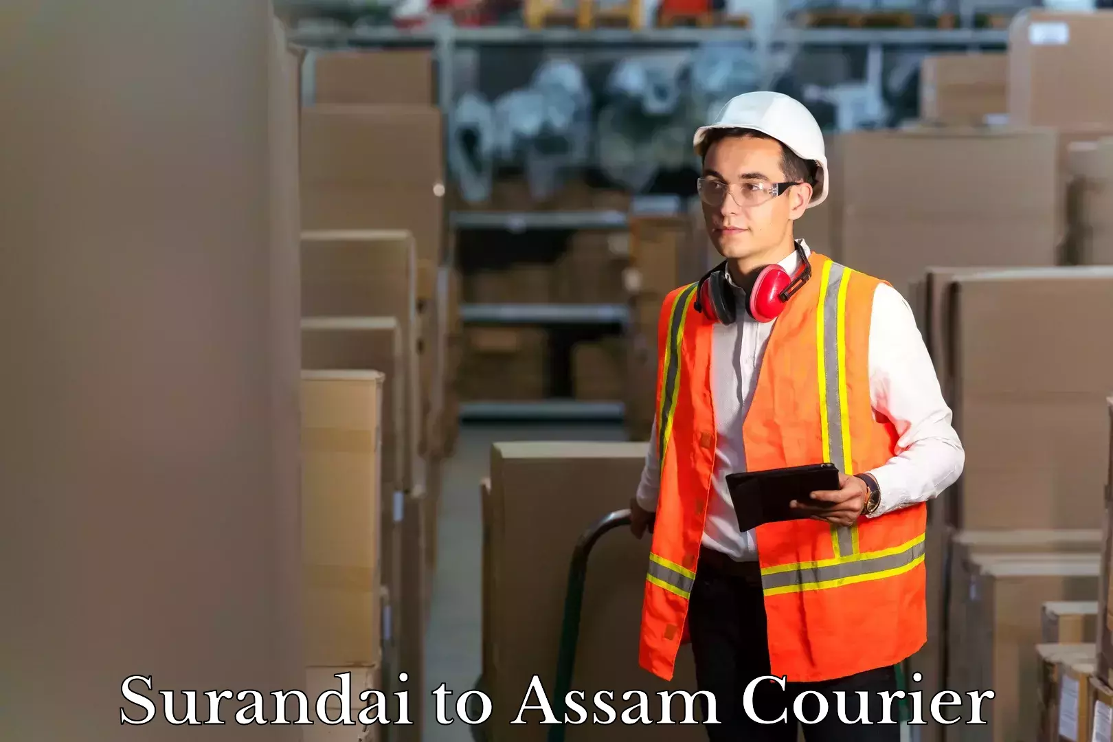 Baggage courier insights Surandai to Tihu