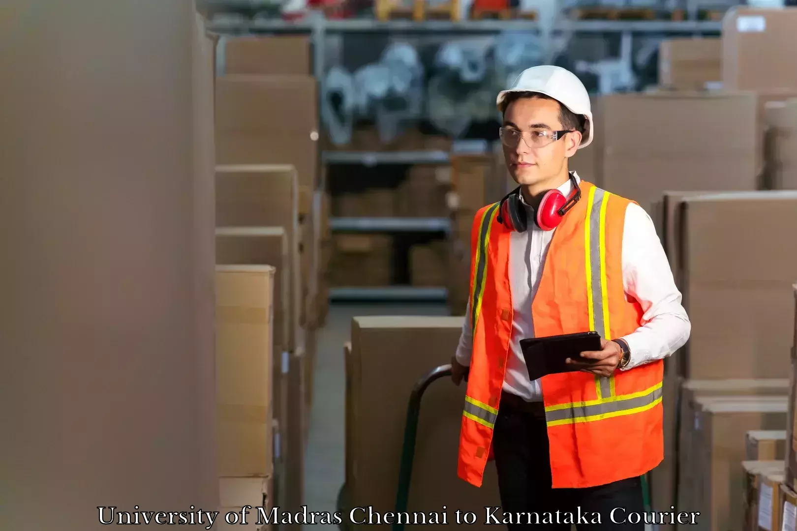Luggage shipping rates University of Madras Chennai to Karnataka