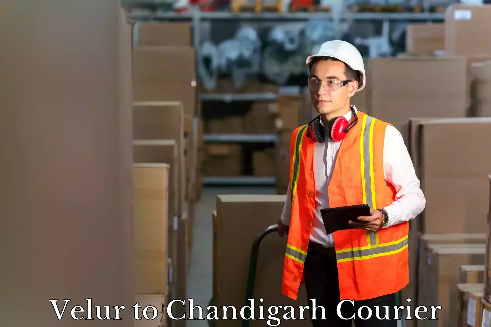 Baggage transport coordination in Velur to Chandigarh