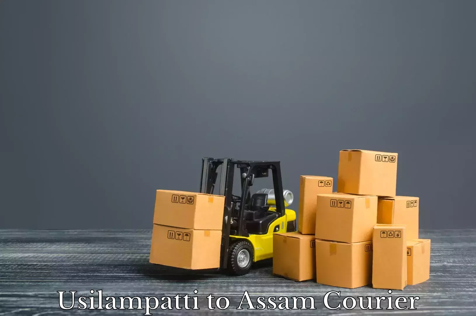 Luggage shipping rates Usilampatti to Assam