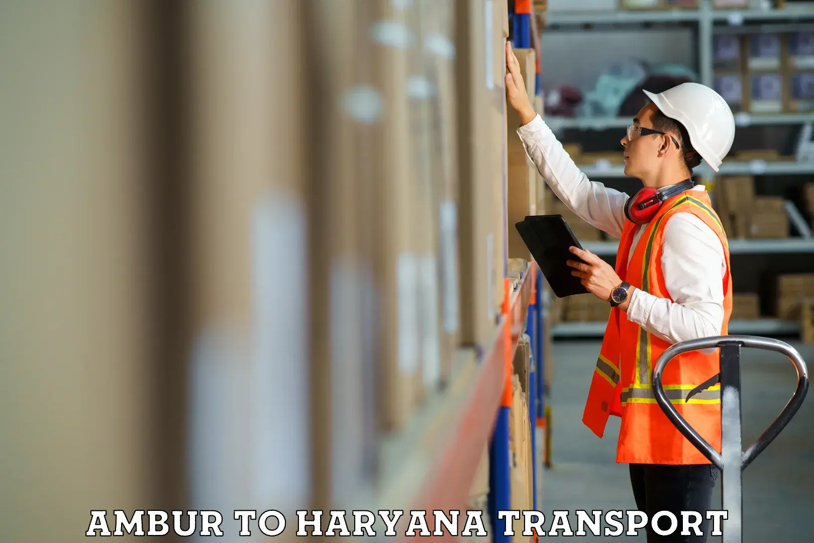 Container transport service Ambur to Gurugram