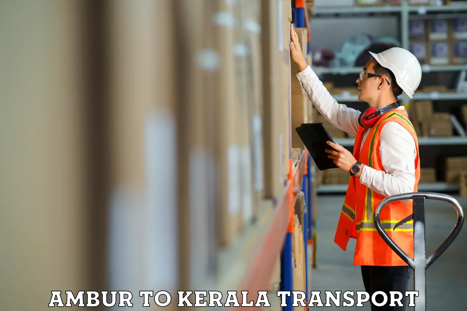 Package delivery services Ambur to Changanacherry