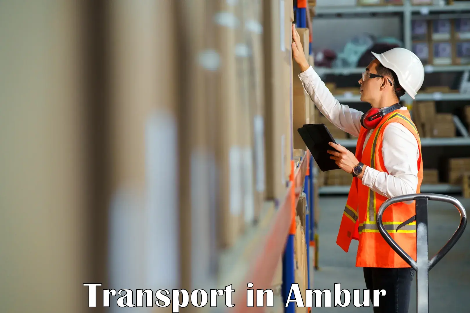 International cargo transportation services in Ambur
