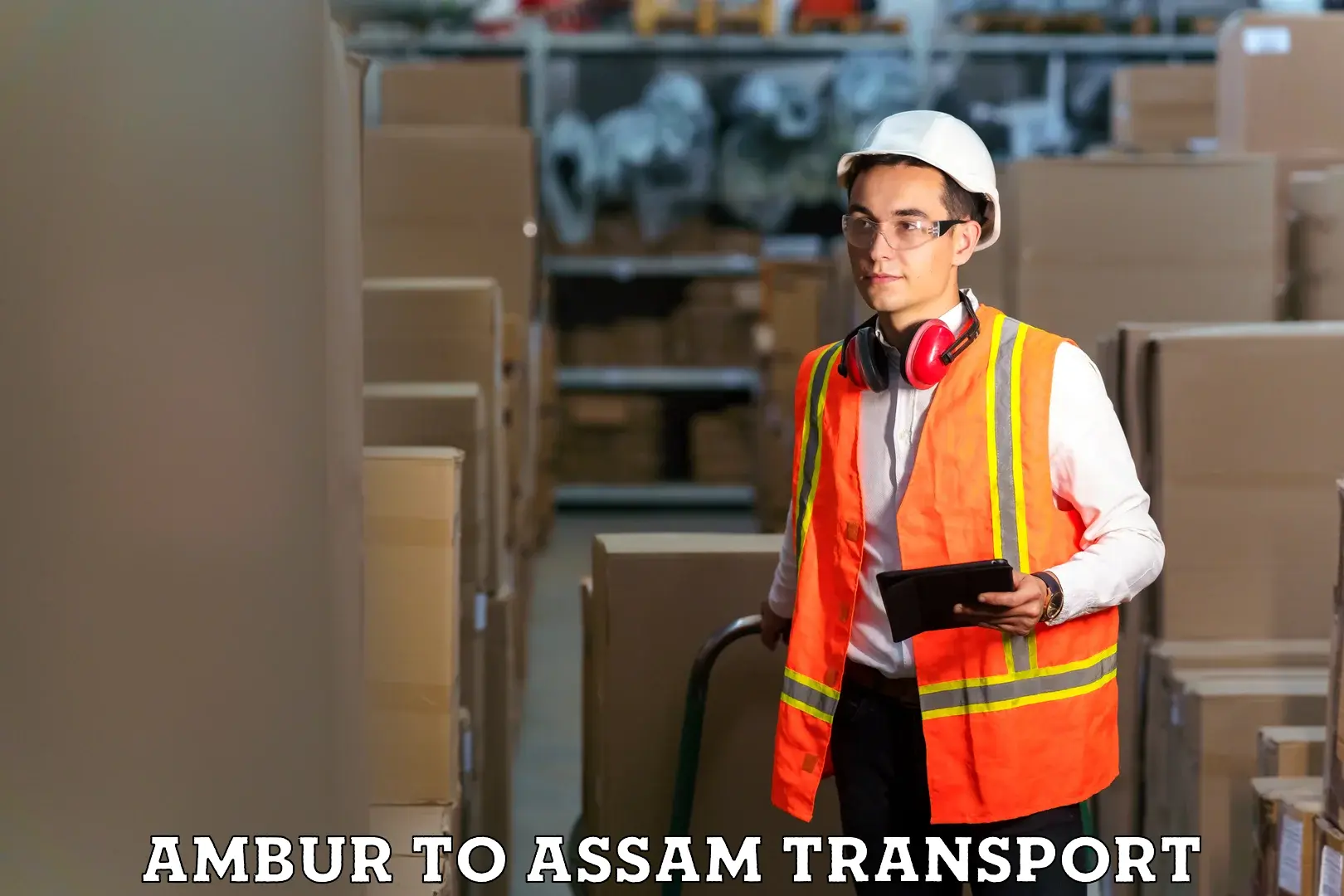 Vehicle parcel service Ambur to Tezpur