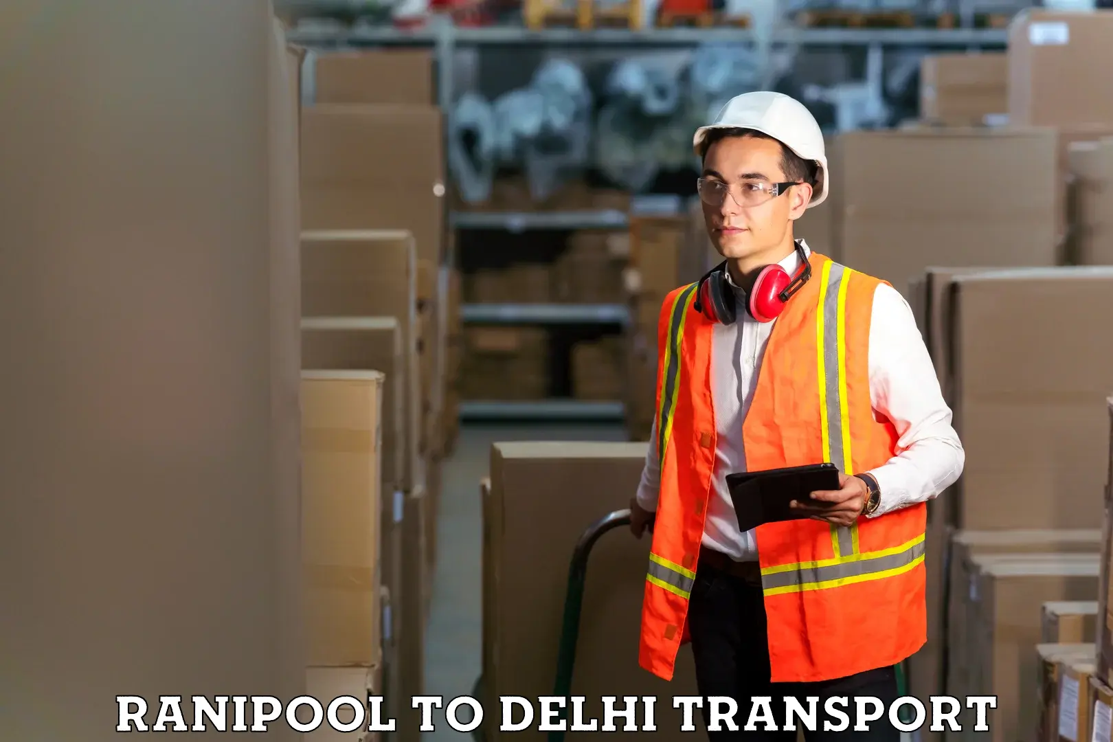 Shipping services Ranipool to Delhi Technological University DTU