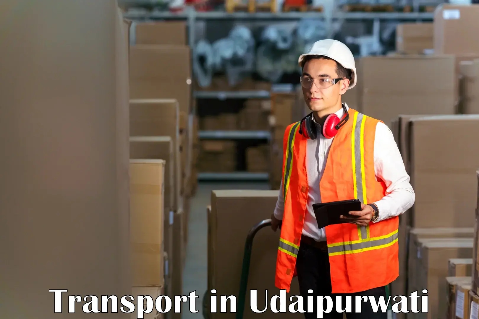 Parcel transport services in Udaipurwati