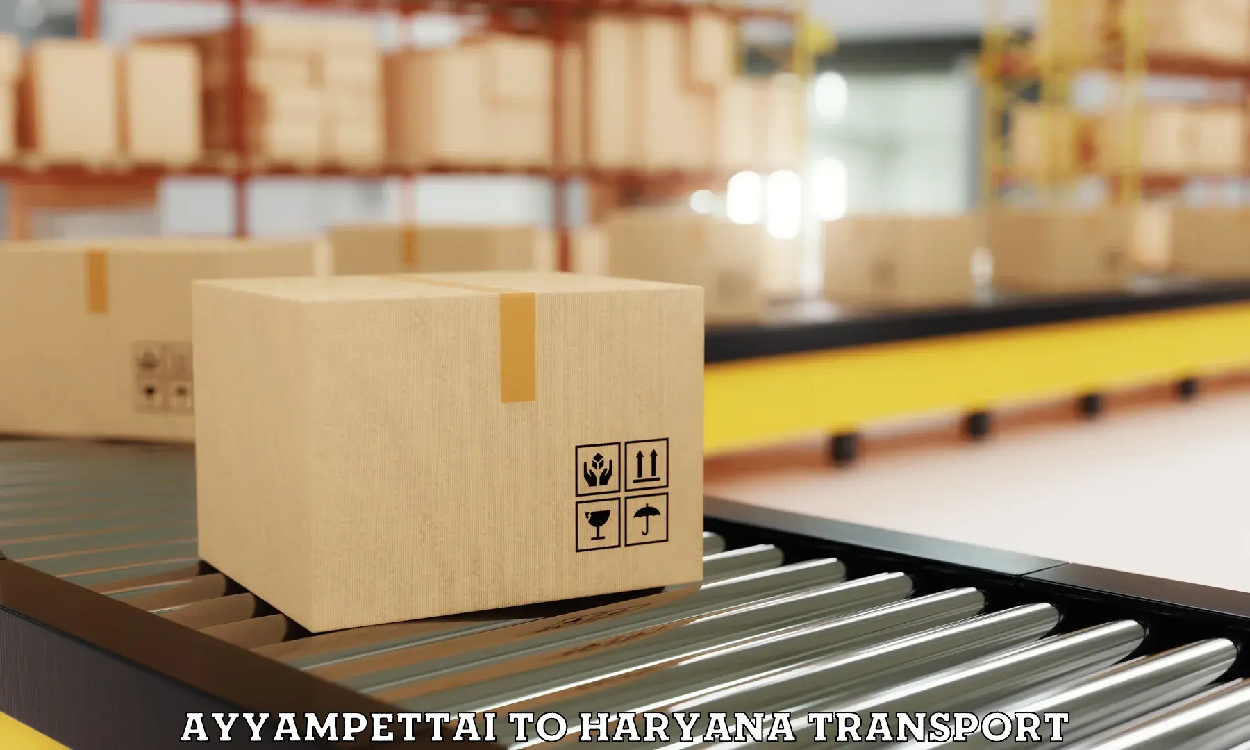 Vehicle parcel service Ayyampettai to IIIT Sonepat