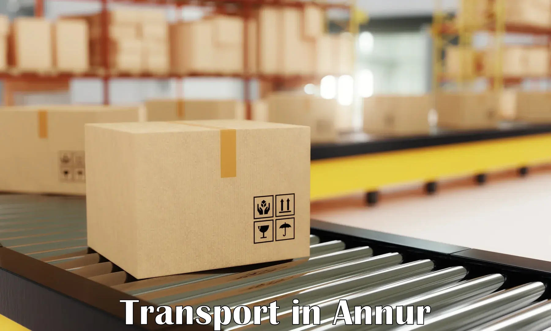 Air freight transport services in Annur