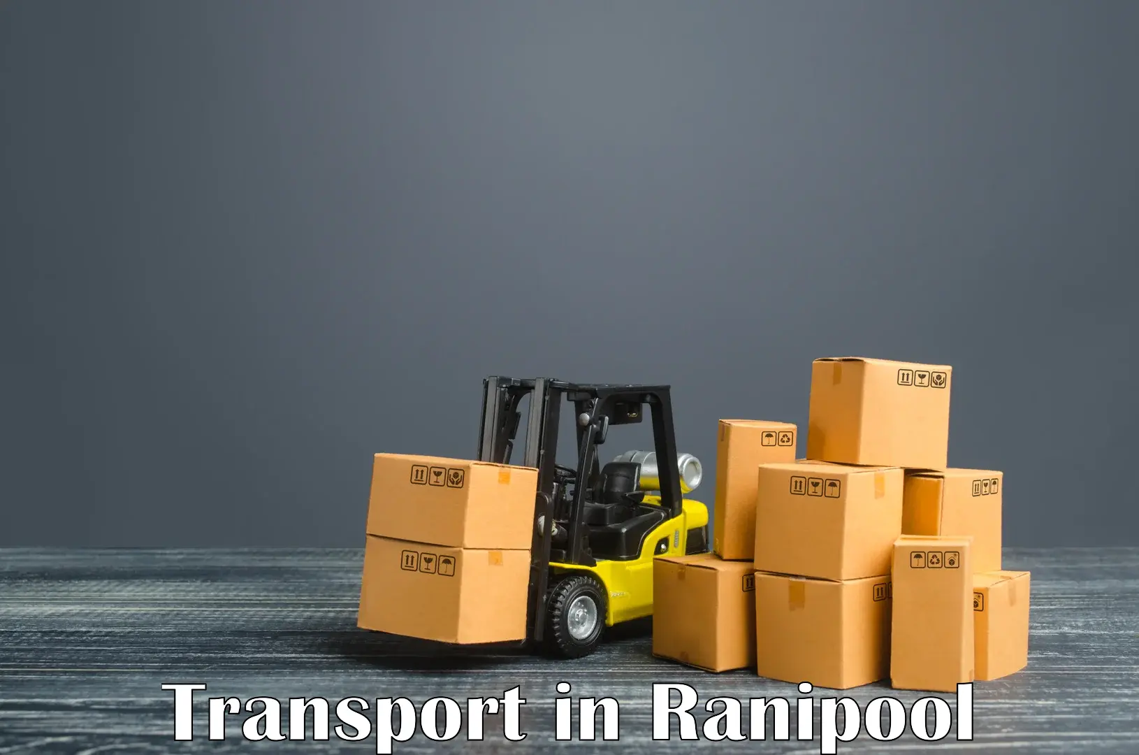 Vehicle courier services in Ranipool
